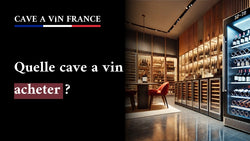 Quelle cave a vin acheter ?