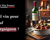 Quel vin pour boeuf bourguignon ?